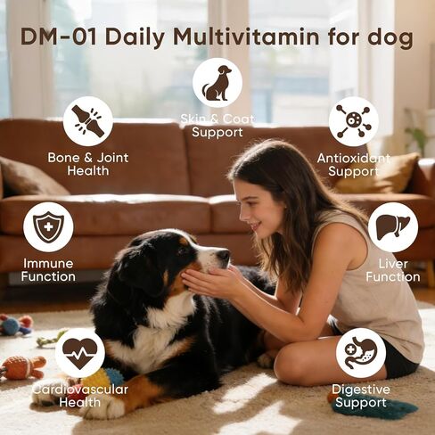 DM-01 Daily Multivitamin, Multivitamin Itch Relief Chews for Dog, with Folic Acid, Salmon Oil, Chondroitin & Natural Vitamins, Skin and Coat Healthy, Digestive & Boost Immunity, 60 Chew (Beef) in Kuwait