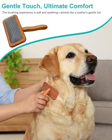 Dog Slicker Brush for Grooming & Shedding, Cat Brush for Short or Medium-Haired Dogs with an Air-Cushion Design and Coated Tips, Suitable for Removing Loose Hair, Tangles, and Knots. in Kuwait