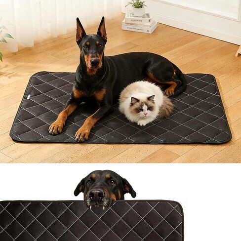Chew Proof Dog Crate Pad, Indestructible Dog Bed, High Density Chew Proof Crate Pad for Medium Large Dogs, Machine Washable Supportive Mattress, Black (35x26IN) in Kuwait