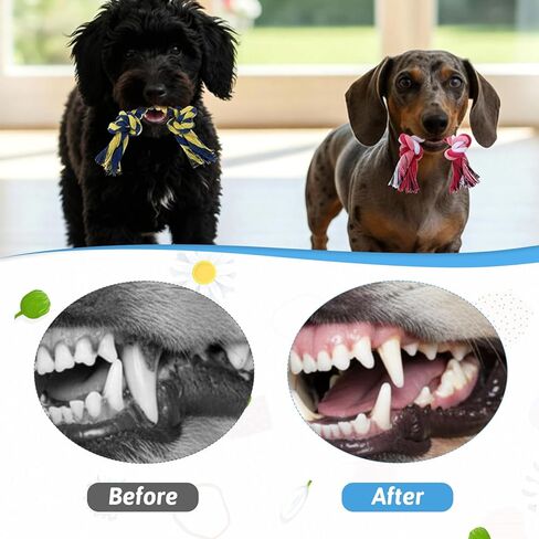 100 Pieces Knot Rope Dog Toys, Cotton Dog Rope Toys Bulk, Multi Color Puppy Chew Toy, Ropes Dogs Toyss for Aggressive Chewers Durable Puppy Tug of War Toy with Knot for Small and Medium Dogs in Kuwait
