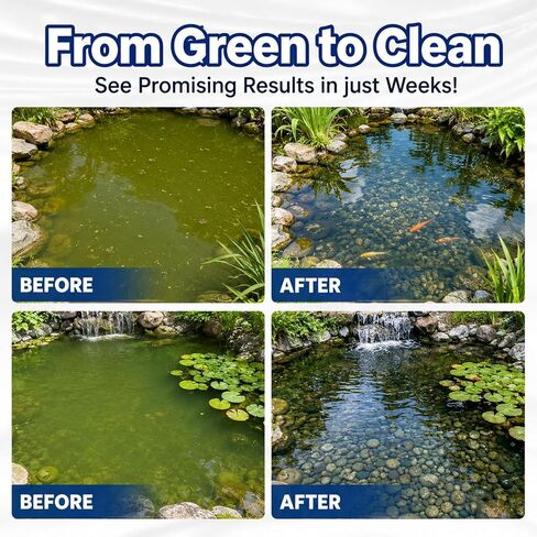Aqua Guardian Pro Formula for Pond, Aquatic Care Powder for Pond and Aquarium, Easy Mix Water Care Support for Fish, Shrimp & Crab, Maintenance Friendly Pond Water Treatment (2 PCS) in Saudi Arabia