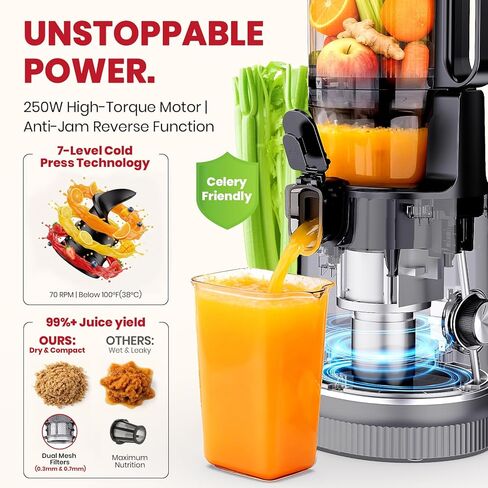 LAUDLIFE Cold Press Juicer Machine, 5.9" Wide Feed Chute Juice Extractor, 80 oz Large Hopper, Easy to Clean & High Juice Yield, BPA Free, Slow Masticating Juicer for Whole Fruits & Vegetables in Kuwait