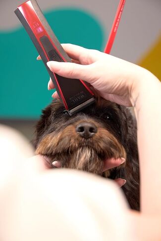 Wahl Pro Animal Bravura2 - Cordless Professional Pet Clipper for Dogs, Cats & Horses - Multi-Speed - Durable & Easy to Carry - USB Charging - Travel-Friendly - Comfortable Grip - Brilliant Rose in Kuwait