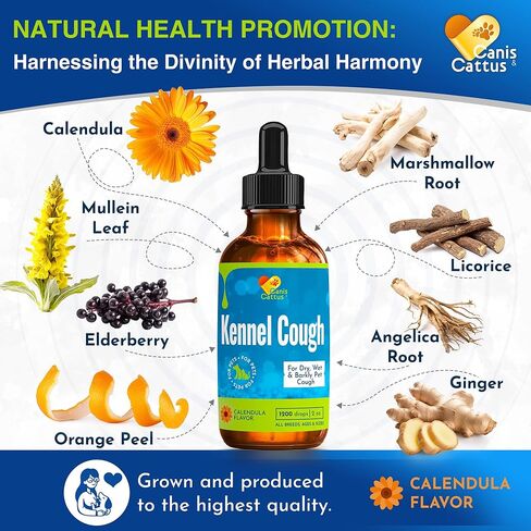 Dog Coughing Treatment Helps with Allergies, Breathing, Runny Nose, Sneezing – Herbal Kennel Cough Treatment for Dogs & Cats for Throat Care – Liquid Supplement and Breeds – 2-oz Bottle in Saudi Arabia