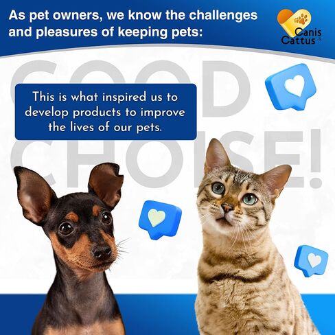 Dog Coughing Treatment Helps with Allergies, Breathing, Runny Nose, Sneezing – Herbal Kennel Cough Treatment for Dogs & Cats for Throat Care – Liquid Supplement and Breeds – 2-oz Bottle in Kuwait