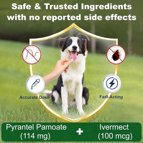 Ivermectin for Dogs, Digestive Health & Vitality Support, Safe for Puppies & Dogs, 3.38 oz in Kuwait