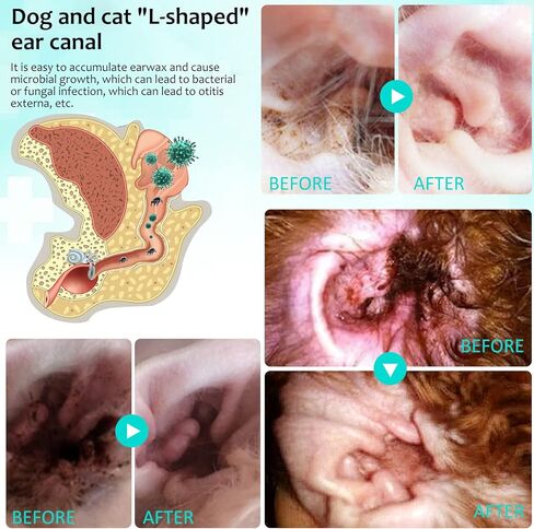Ear Mite Treatment for Dogs and Cats,Ear Infection Treatment Drops,Relief for Dogs and Cats Suffering from Ear Mites, Pets Ear Cleaning Drops with Soothing Aloe for Dog & Cats (0.75 Fl Oz (Pack of 1)) in Saudi Arabia