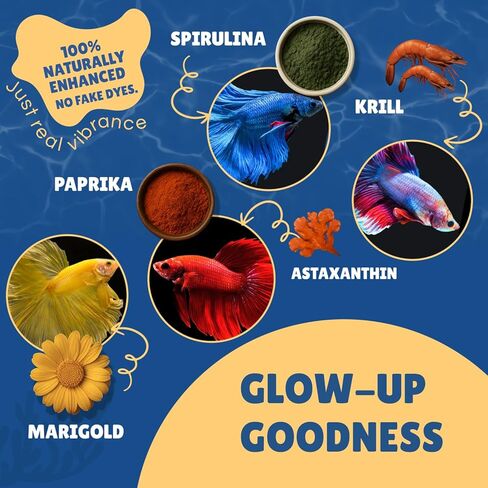 Betta Boost Pops | High-Protein Betta Fish Food Pellets Made in USA | Marine & Insect Protein | Floating & Slow-Sinking | Premium Freshwater Aquarium Fish Food 1oz in Kuwait