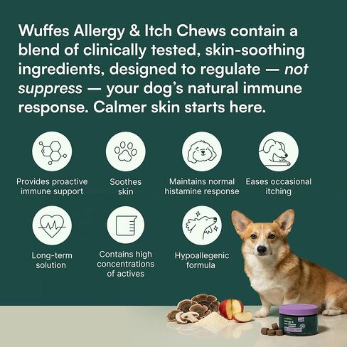 Wuffes Allergy & Itch Soft Chews, Dog Allergy Support with Colostrum, Vitamin E and Omega 3s for Dogs, Non-Drowsy Immune and Itchy Skin Support for All Dogs, 60 Soft Chews in Kuwait