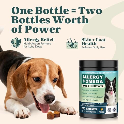 Dog Allergy Chews Omega 3 is Human,Itch Relief Multivitamin Medicine for Dogs Itching Skin Relief and Aller Immune Pet Allergy Dog Anti Itch Chews Coat Licking Supplements Pills Meds Medicine for Dogs in Kuwait