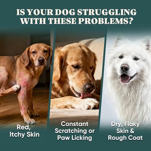 Dog Allergy Chews Omega 3 is Human,Itch Relief Multivitamin Medicine for Dogs Itching Skin Relief and Aller Immune Pet Allergy Dog Anti Itch Chews Coat Licking Supplements Pills Meds Medicine for Dogs in Kuwait