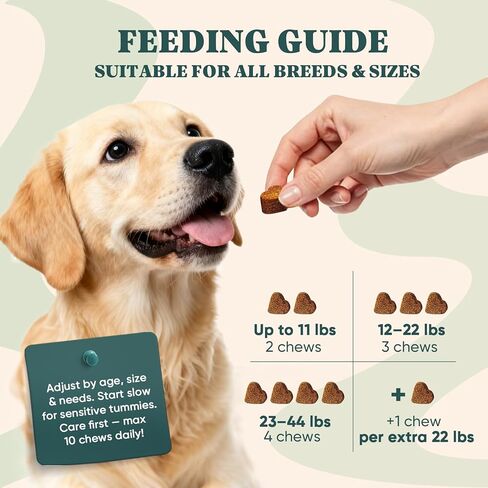 Dog Allergy Chews Omega 3 is Human,Itch Relief Multivitamin Medicine for Dogs Itching Skin Relief and Aller Immune Pet Allergy Dog Anti Itch Chews Coat Licking Supplements Pills Meds Medicine for Dogs in Kuwait