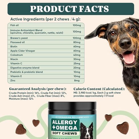 Dog Allergy Chews Omega 3 is Human,Itch Relief Multivitamin Medicine for Dogs Itching Skin Relief and Aller Immune Pet Allergy Dog Anti Itch Chews Coat Licking Supplements Pills Meds Medicine for Dogs in Kuwait