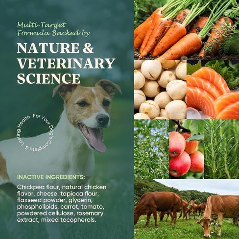 Dog Allergy Chews Omega 3 is Human,Itch Relief Multivitamin Medicine for Dogs Itching Skin Relief and Aller Immune Pet Allergy Dog Anti Itch Chews Coat Licking Supplements Pills Meds Medicine for Dogs in Kuwait