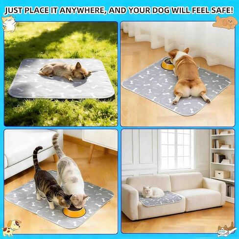 Pheromone Puppy Pads – Reusable, Washable & Leak-Proof Pet Training Pads for Dogs Cats, Anti-Slip, Home Travel (S-15.7"×23.6") in Kuwait