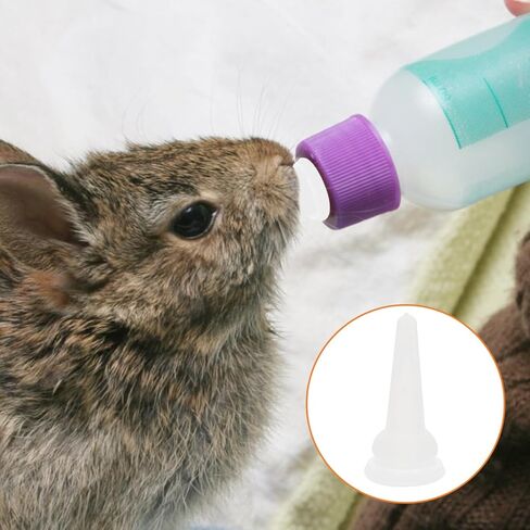 POPETPOP 40Pcs Kitten Nipples for Feeding : Silicone Pet Feeding Bottle Nipple Nursing Pacifiers for Kitten Puppy Rabbit, 1.38X0.51X0.51in (White) in Kuwait