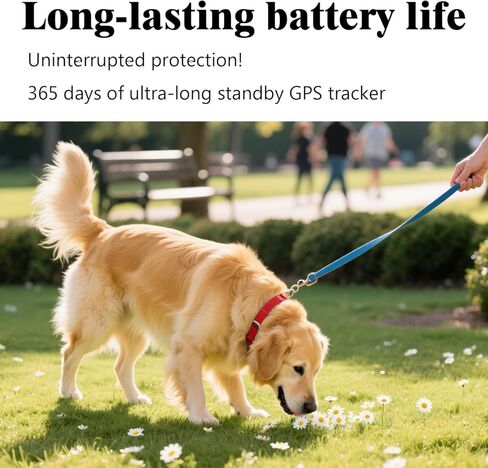 جهاز تعقب GPS للكلاب، جهاز تعقب صغير للقطط، جهاز تعقب ذكي للحيوانات الأليفة، تتبع في الوقت الحقيقي وتنبيهات ضد الفقدان، بدون رسوم شهرية، بدون بطاقة SIM، مقاوم للماء والسقوط، عمر بطارية 365 يومًا، يعمل مع iOS وAndroid in Kuwait