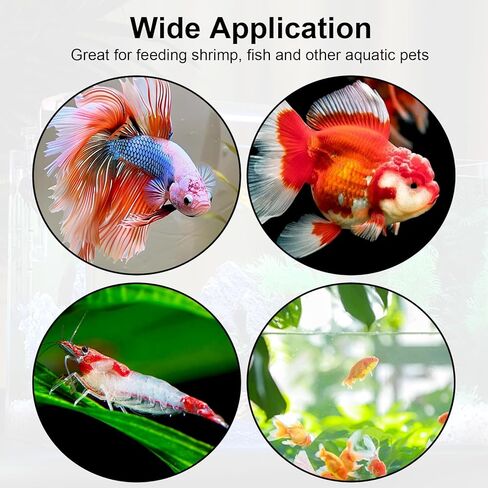 2PCS Shrimp Feeding Dish, Shrimp Feeder Dish with Suction Cups, Clear Fish Tank Feeder Bowl, Acrylic Fish Tank Feeding Bowl for Freshwater and Saltwater Tanks (60mm) in Kuwait