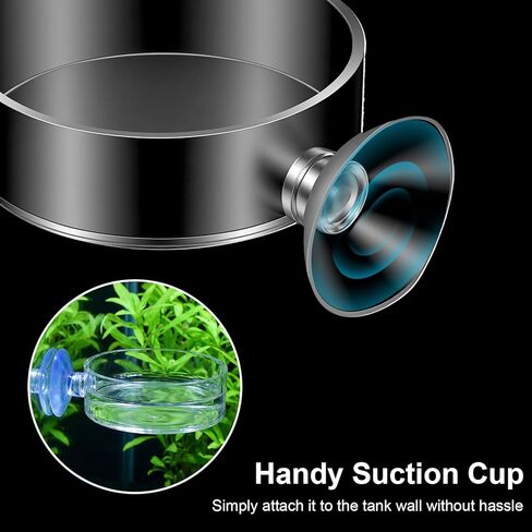 2PCS Shrimp Feeding Dish, Shrimp Feeder Dish with Suction Cups, Clear Fish Tank Feeder Bowl, Acrylic Fish Tank Feeding Bowl for Freshwater and Saltwater Tanks (60mm) in Kuwait