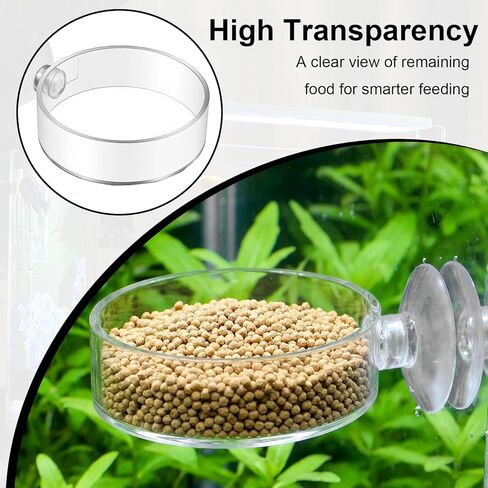 2PCS Shrimp Feeding Dish, Shrimp Feeder Dish with Suction Cups, Clear Fish Tank Feeder Bowl, Acrylic Fish Tank Feeding Bowl for Freshwater and Saltwater Tanks (60mm) in Kuwait