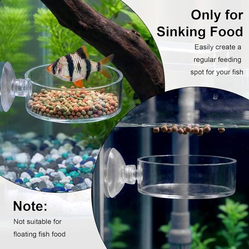 2PCS Shrimp Feeding Dish, Shrimp Feeder Dish with Suction Cups, Clear Fish Tank Feeder Bowl, Acrylic Fish Tank Feeding Bowl for Freshwater and Saltwater Tanks (60mm) in Kuwait