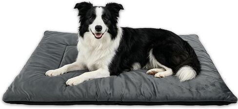 RovePad Cozy – Dog Crate Mat, 6cm Thick Crate Mattress Pad, Non-Slip Washable Velvet Dog Bed for Small & Medium Dogs, Silent Indoor Kennel Pad (Grey,M) in Kuwait