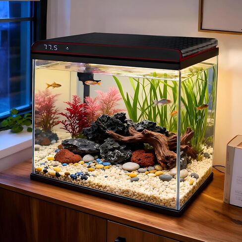 Coospider 10 Gallon Glass Fish Tank, Aquarium Starter Kit, Simple Self-Cleaning Aquarium with 3-Color LED Lights, Quiet Filter Pump, Temperature Monitoring for Fish, Shrimp, Kids Gift Ideas in Saudi Arabia