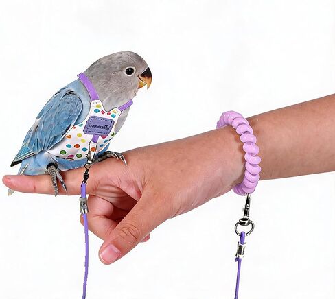 Bird Harness Leash Set Adjustable Vest Anti-Lost Wrist Strap for Parakeet Cockatiel Conure Lovebird (Purple, Sun Conure: 5.5 * 10cm / 5g) in Saudi Arabia