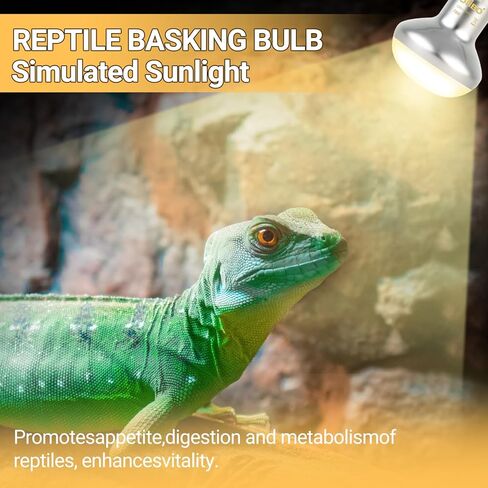 Blub مصباح الحرارة الزواحف، 2 حزمة 75W مصباح الحرارة الزواحف ليلا ونهارا، UVA ضوء النهار الحرارة المصابيح الفرح الأشعة تحت الحمراء مع ارتفاع درجات الحرارة ضوء لمبة للزواحف التنين الملتحي سحلية السلاحف in Kuwait