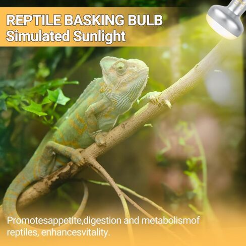 Blub مصباح الحرارة الزواحف، 2 حزمة 100 واط مصباح الحرارة الزواحف ليلا ونهارا، UVA ضوء النهار الحرارة لمبة الأشعة تحت الحمراء مع ارتفاع درجات الحرارة ضوء لمبة للزواحف التنين الملتحي السلاحف السحلية in Kuwait