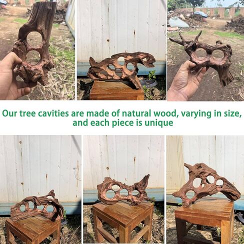 Driftwood for Aquarium Natural Aquarium Wood for Aquascaping Fish Tank Decorations Reptile Tank Decor (Porous Natural Driftwood 11-15“) in Kuwait