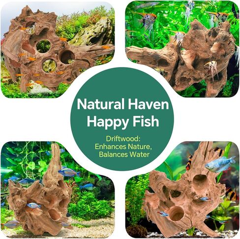 Driftwood for Aquarium Natural Aquarium Wood for Aquascaping Fish Tank Decorations Reptile Tank Decor (Porous Natural Driftwood 11-15“) in Kuwait