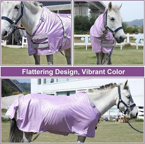 LEAFOREST Miniature Pony Horse Fly Sheet - with Neck Cover & Belly Band Breathable Mesh UV Protection Summer Sheets for Mini Horses Foal Yearling Donkey Violet 60 inches in Kuwait