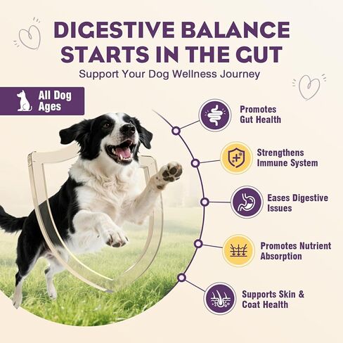Probiotics for Dogs 200pcs Dog Probiotics for Digestive Health Digestive Enzymes and Prebiotic, Probiotic Chews for Dogs Support Gut Health, Relieve Diarrhea, Itchy Skin, Enhance Immunity in Saudi Arabia
