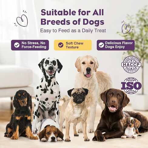 Probiotics for Dogs 200pcs Dog Probiotics for Digestive Health Digestive Enzymes and Prebiotic, Probiotic Chews for Dogs Support Gut Health, Relieve Diarrhea, Itchy Skin, Enhance Immunity in Saudi Arabia