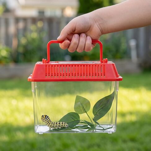 Angoily Turtle Tank, 0.4 Gal Portable Plastic Handheld Mini Fish Tanks Clear Reptile Habitat Carrier Catch and Release Aquarium Small Pet Aquarium with Handle for Travel and Home Use, Bug Cage Beach in Kuwait