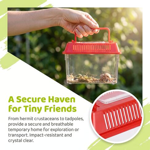 Angoily Turtle Tank, 0.4 Gal Portable Plastic Handheld Mini Fish Tanks Clear Reptile Habitat Carrier Catch and Release Aquarium Small Pet Aquarium with Handle for Travel and Home Use, Bug Cage Beach in Kuwait