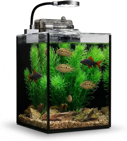 1.2 Gallon Betta Fish Tank, Small Aquarium Kit,Glass Small Fish Tank,Betta Fish Tank with a lid and Light and Filter, Small Transparent Glass Fish Tank with Light and Filter(Black Glass Background) in Kuwait