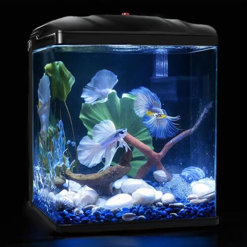 Small Fish Tank, 2 Gallon Glass Aquarium, Betta Fish Shrimp Goldfish Tropical Fish Starter Kit Self Cleaning with Filter & LED Plant Light, Ultra-Quiet Kids Room Decoration Fish Tank in Kuwait