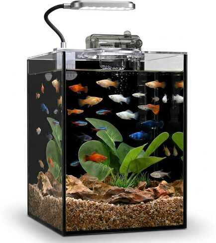 1.2 Gallon Betta Fish Tank, Small Aquarium Kit,Glass Small Fish Tank,Betta Fish Tank with a lid and Light and Filter, Small Transparent Glass Fish Tank with Light and Filter(Black Glass Background) in Saudi Arabia
