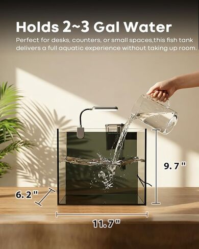 3 Gallon Aquarium Set Small Fish Tank Glass, Starter Kit with Heater Water Pump Cleaning Filter Bright Light Rocks Gravel Cleaning Tool, Leak-Proof Clear Rimless Desktop Spaces Saving Betta Fish in Kuwait