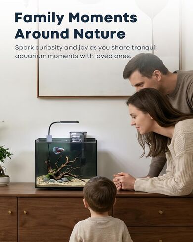 3 Gallon Aquarium Set Small Fish Tank Glass, Starter Kit with Heater Water Pump Cleaning Filter Bright Light Rocks Gravel Cleaning Tool, Leak-Proof Clear Rimless Desktop Spaces Saving Betta Fish in Kuwait