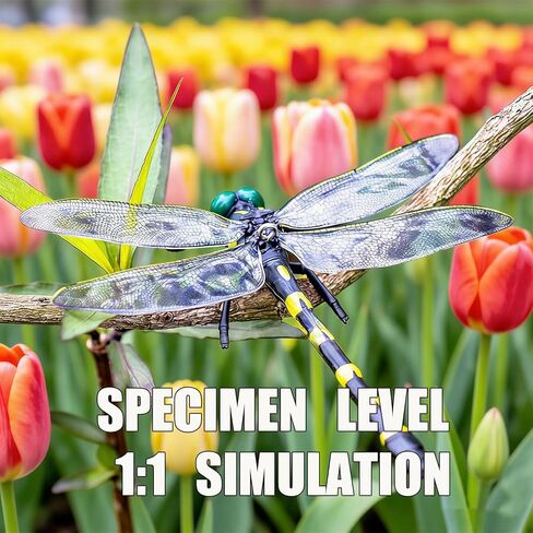 4PCS Dragonfly Clip, 3D Fake Dragonfly Clips to Keep B ugs Away,Artificial Dragon Fly for Deer and Horse,Fly Scare Devices for Indoor Outdoor in Kuwait