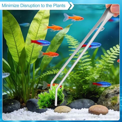 لوازم حوض السمك Oligei Terrarium 3 قطع، مجموعة لوازم حوض السمك من الفولاذ المقاوم للصدأ، تتضمن ملاقط طويلة لحوض السمك، ملاقط منحنية، مكشطة الطحالب لتقليم نباتات تنظيف خزان الأسماك in Kuwait