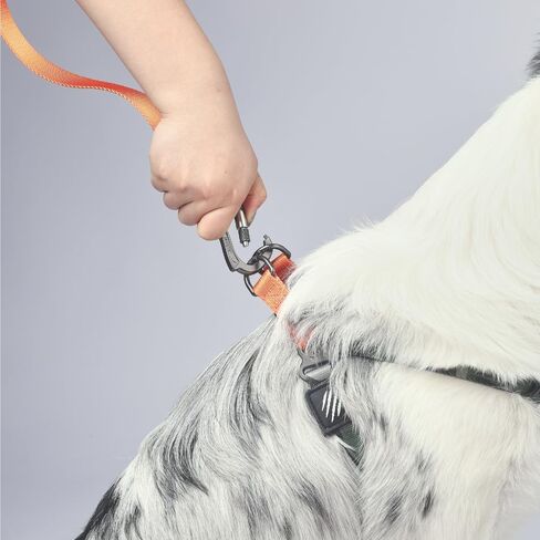 M-PETS Wild Jungle Harness S in Kuwait