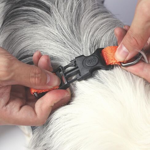 M-PETS Wild Jungle Harness S in Kuwait