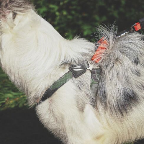 M-PETS Wild Jungle Harness S in Kuwait
