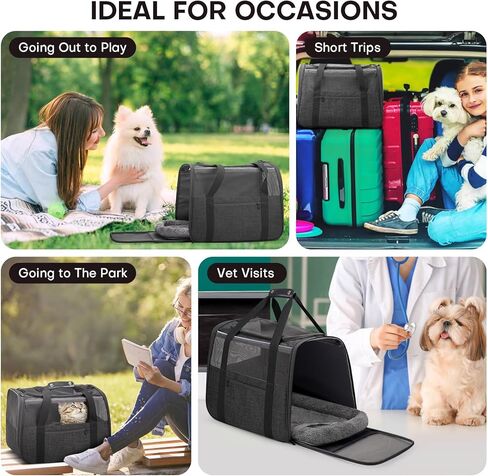 JUNGYOUN Premium Cat Carrier - حامل الحيوانات الأليفة للقطط والكلاب الصغيرة حتى 15 رطلاً - حامل كلب للسفر معتمد من شركة الطيران مع سحابات مضادة للهروب، وعاء سفر قابل للطي وحزام مبطن in Kuwait