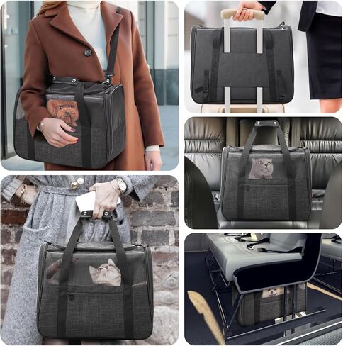 JUNGYOUN Premium Cat Carrier - حامل الحيوانات الأليفة للقطط والكلاب الصغيرة حتى 15 رطلاً - حامل كلب للسفر معتمد من شركة الطيران مع سحابات مضادة للهروب، وعاء سفر قابل للطي وحزام مبطن in Kuwait