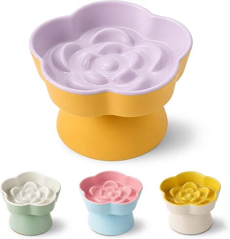 Ceramic Elevated Slow Feeder Cat Bowl, Raised and Gently Tilted Feeding Dish with Maze Design, Whisker-Friendly, Easy to Clean, for Indoor Cats and Small Dogs (Green/Ivory) in Kuwait